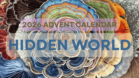 2026 Yarn Advent Calendar - Prosper Yarn