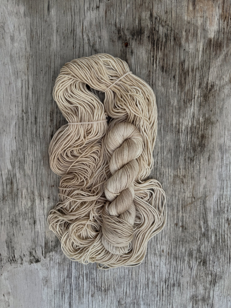 Champagne - Prosper Yarn