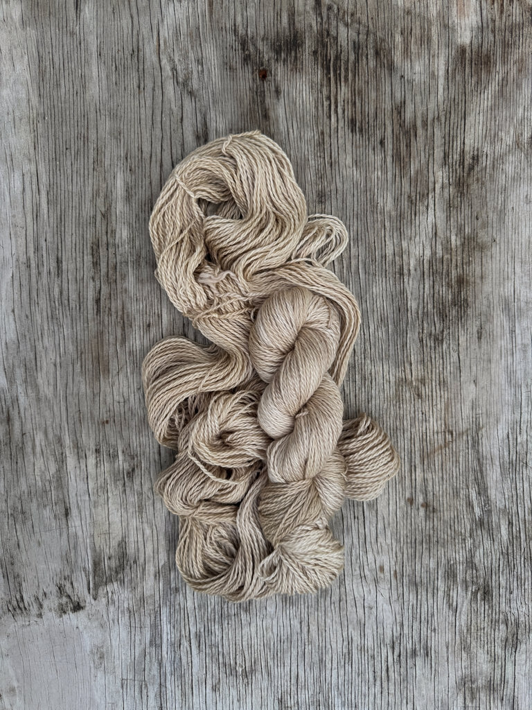 Champagne - Prosper Yarn