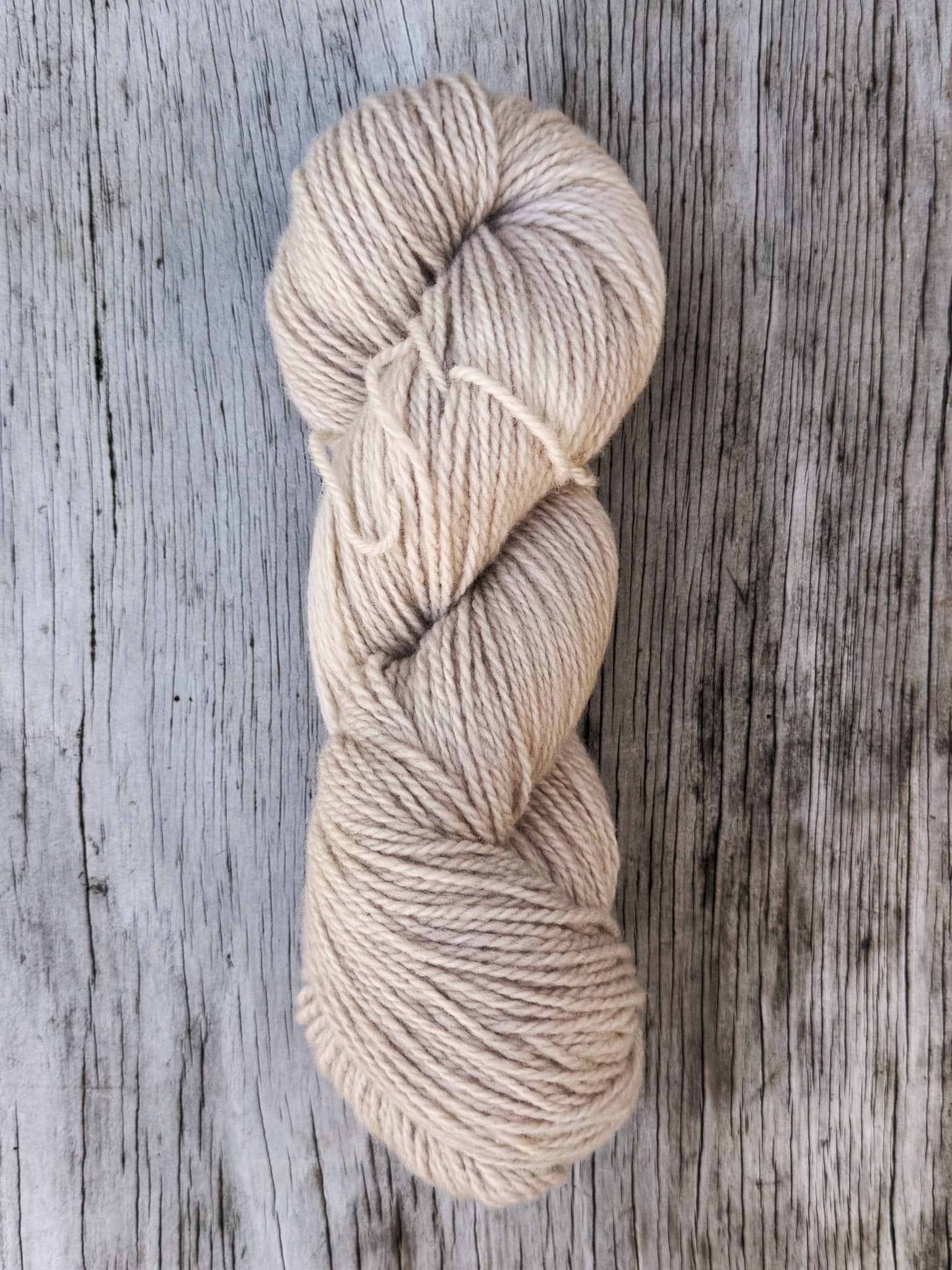 カーディガン evam eva /  wool alpaca roving yarn 楽天市場】evam eva(エヴァムエヴァ)alpaca lily cardigan 4colormade