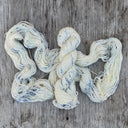 Prosper DK SW Merino Yarn - Prosper Yarn