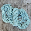 Westie - Prosper Yarn